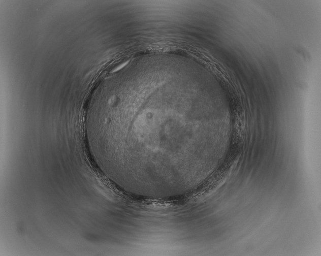 X0000115200601200911121844