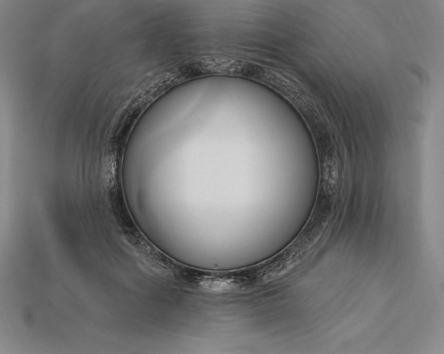 X0000115200602200911121844