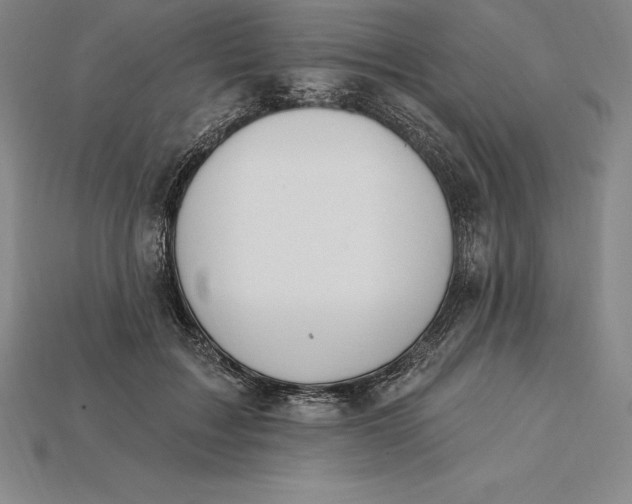 X0000115200603200911121844