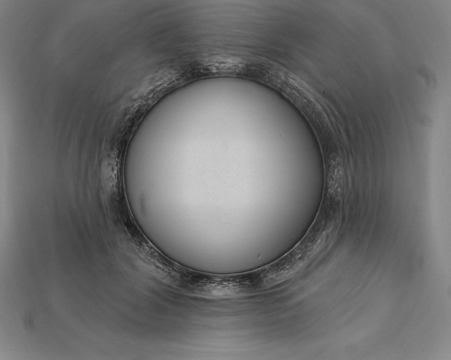 X0000115200604200911121844