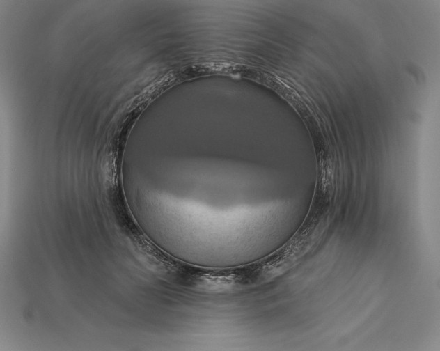 X0000115200606200911121844