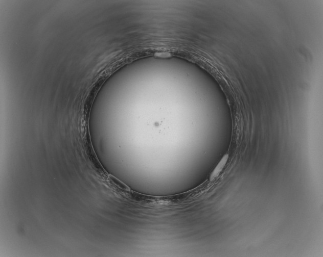X0000115200609200911121843