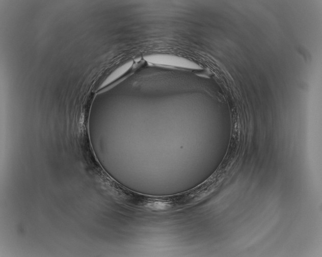 X0000115200610200911121843
