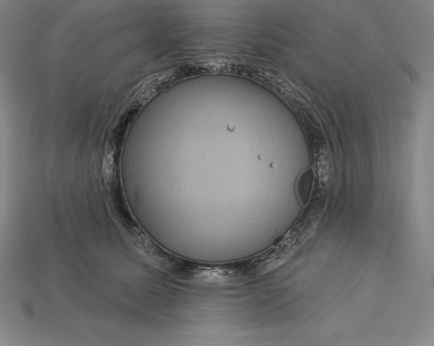X0000115200611200911121843