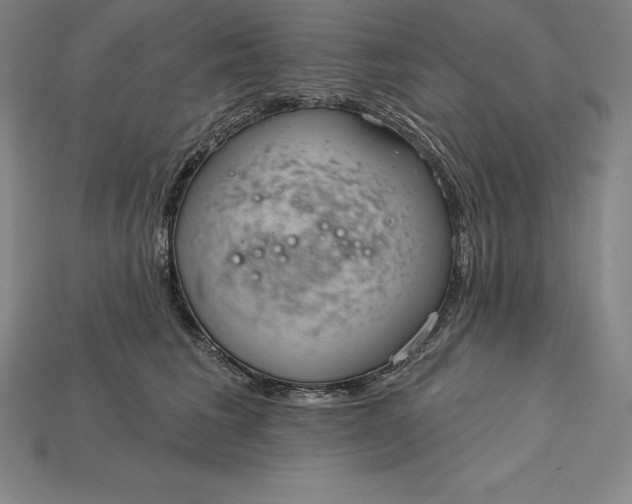 X0000115200613200911121843