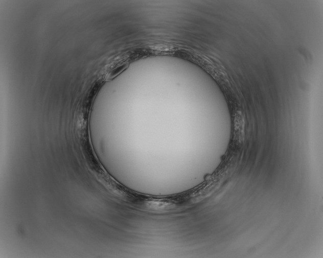 X0000115200614200911121843
