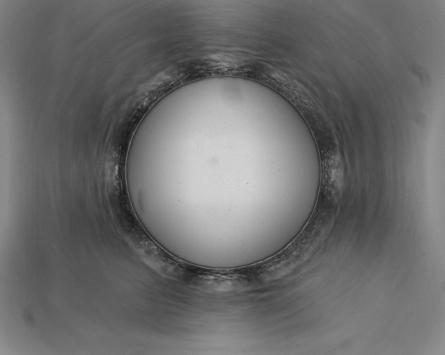 X0000115200615200911121843