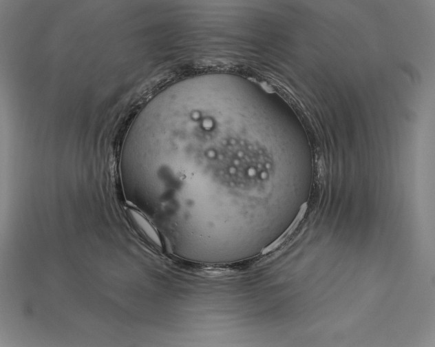 X0000115200617200911121843