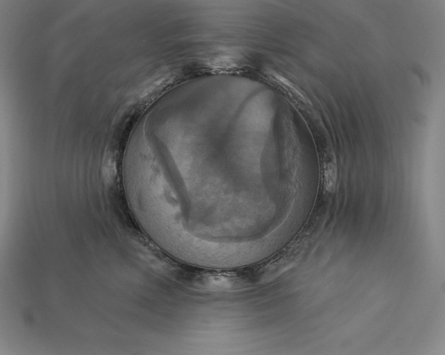 X0000115200618200911121843