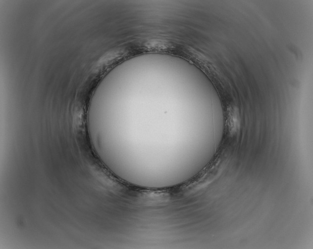 X0000115200619200911121843