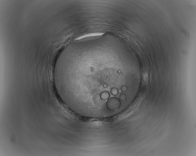 X0000115200620200911121843