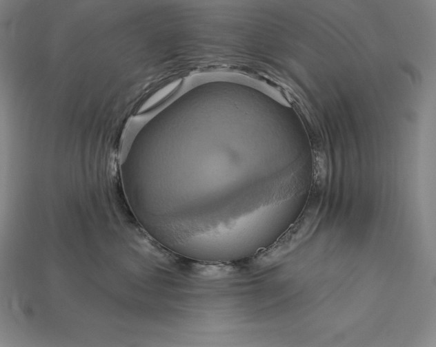 X0000115200621200911121843