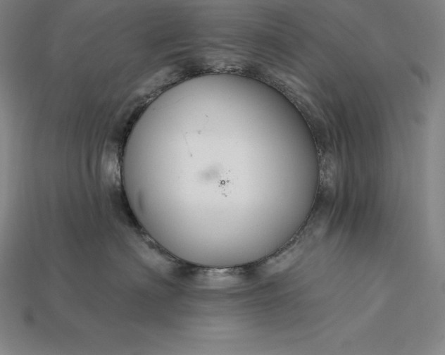 X0000115200622200911121843
