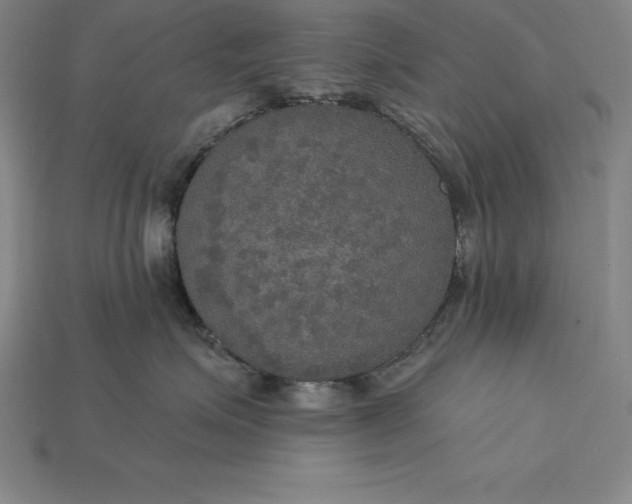 X0000115200623200911121843