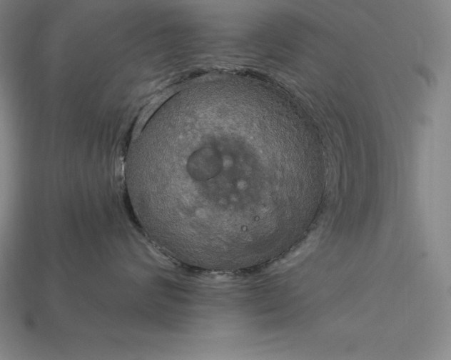 X0000115200624200911121843