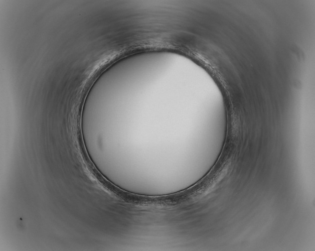 X0000115200625200911121843