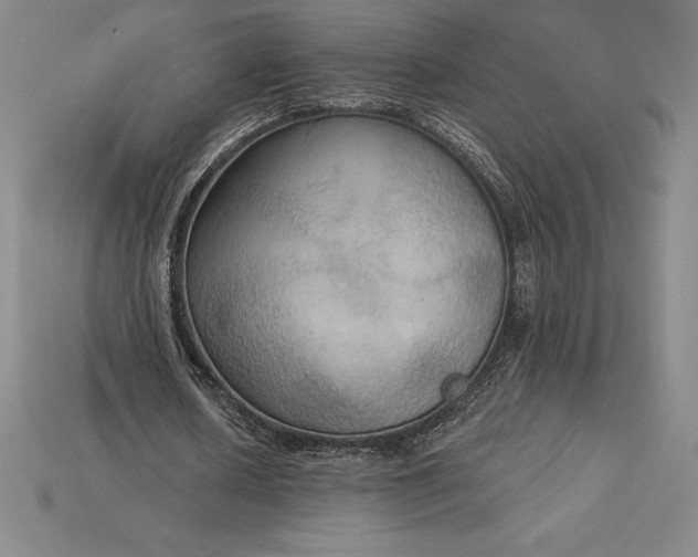 X0000115200626200911121843