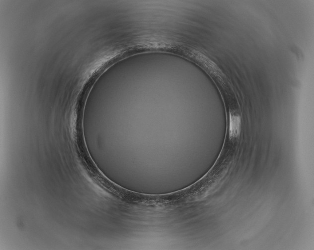 X0000115200627200911121843