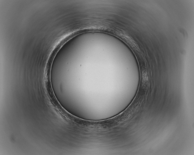 X0000115200628200911121843