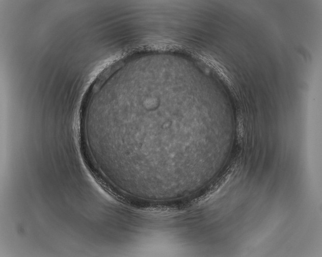 X0000115200630200911121843