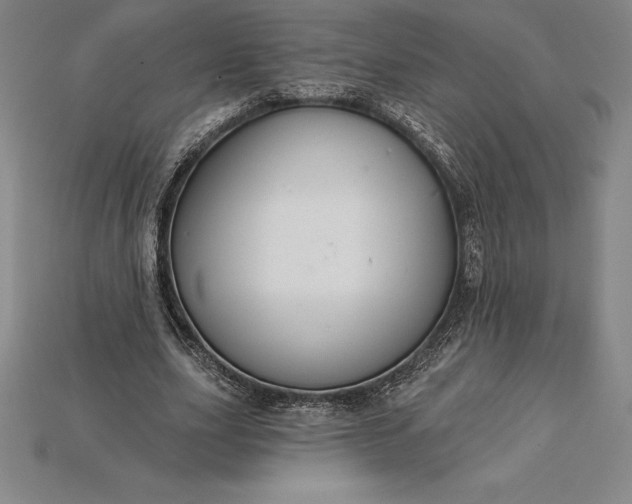 X0000115200631200911121843