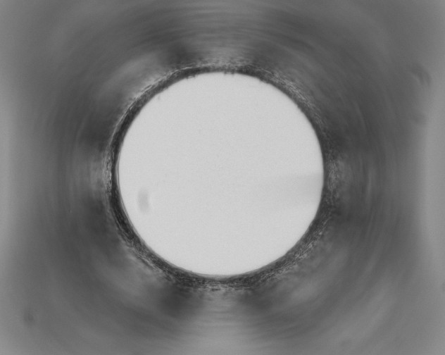 X0000115200632200911121843