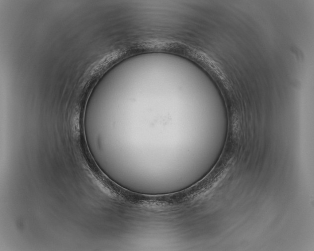 X0000115200633200911121843