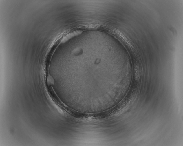 X0000115200634200911121843