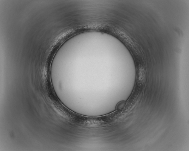 X0000115200636200911121843