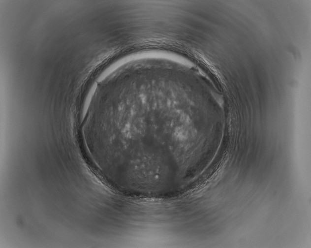X0000115200637200911121843