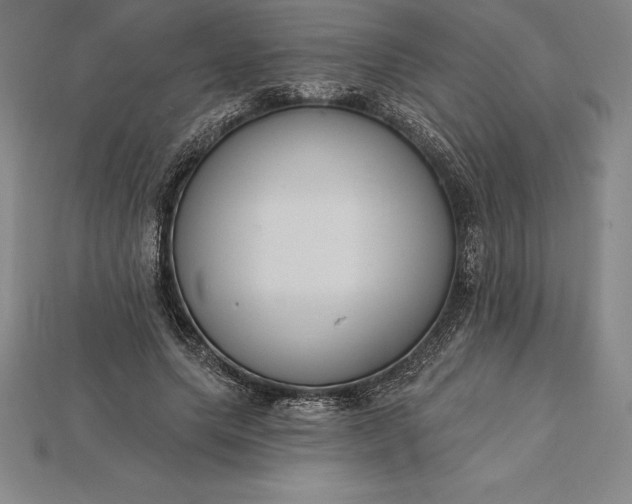 X0000115200639200911121843
