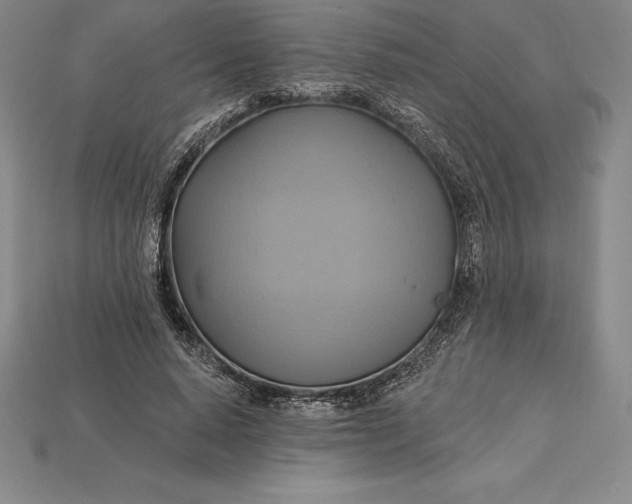 X0000115200640200911121843
