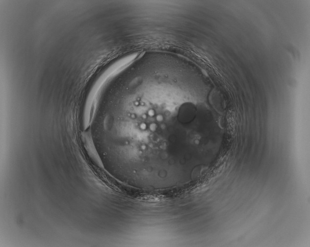 X0000115200642200911121843
