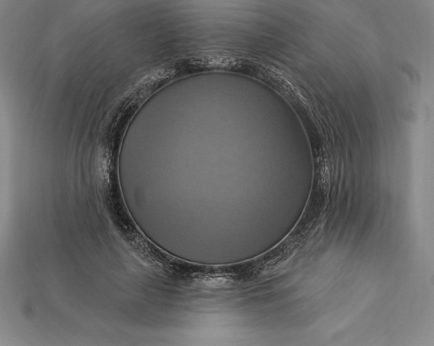 X0000115200643200911121843