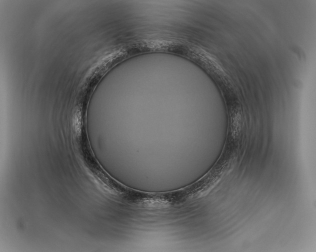 X0000115200644200911121843