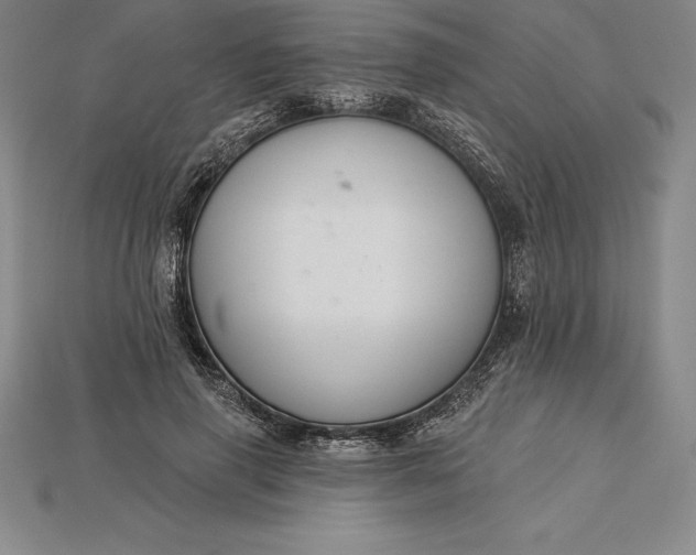 X0000115200645200911121843
