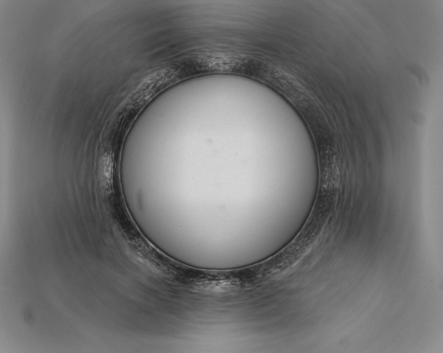 X0000115200646200911121843