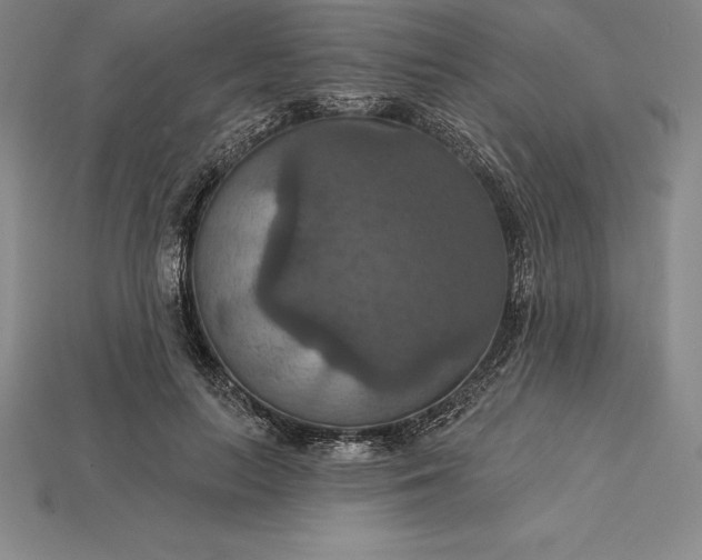 X0000115200647200911121843