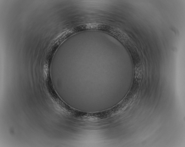 X0000115200648200911121843