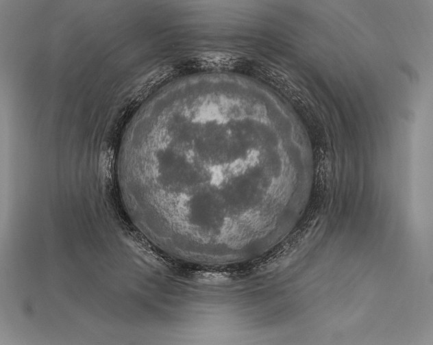 X0000115200649200911121843