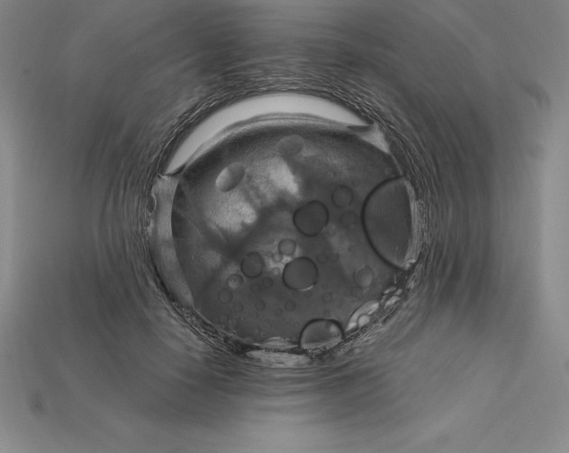 X0000115200650200911121843