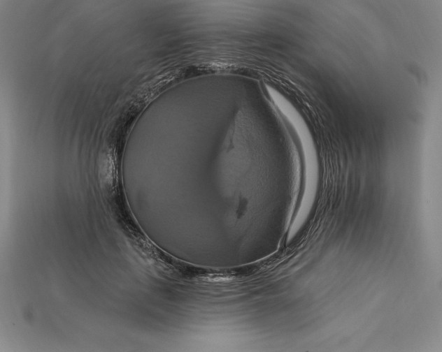 X0000115200651200911121843