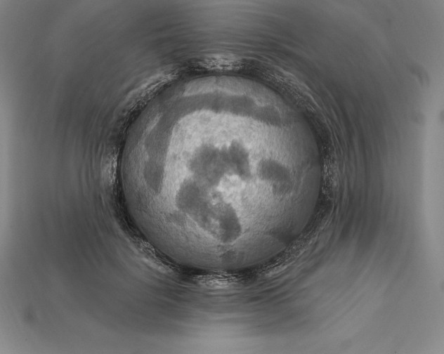 X0000115200652200911121843