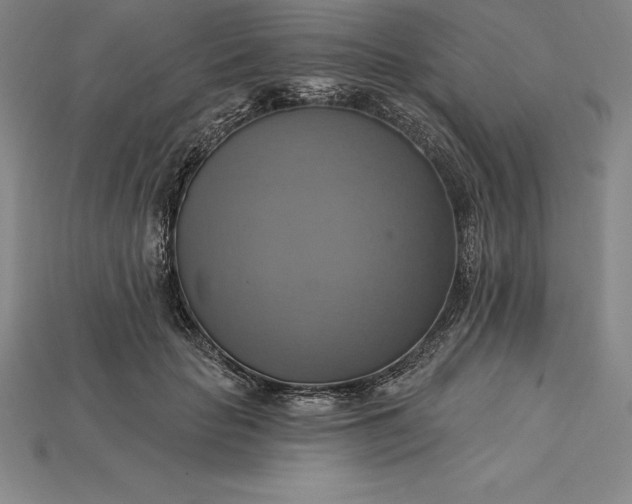 X0000115200653200911121843