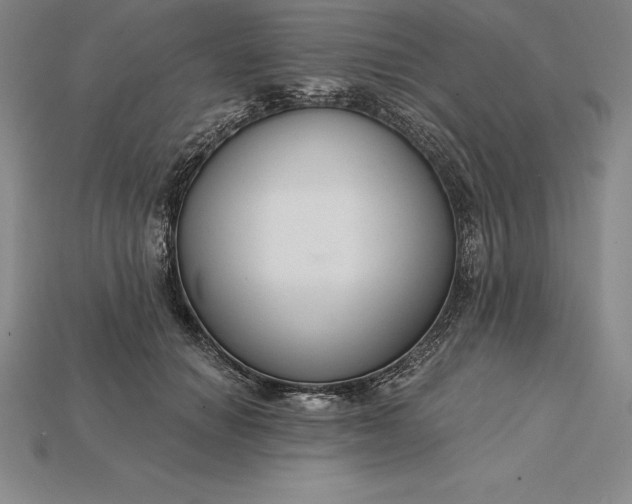 X0000115200654200911121843