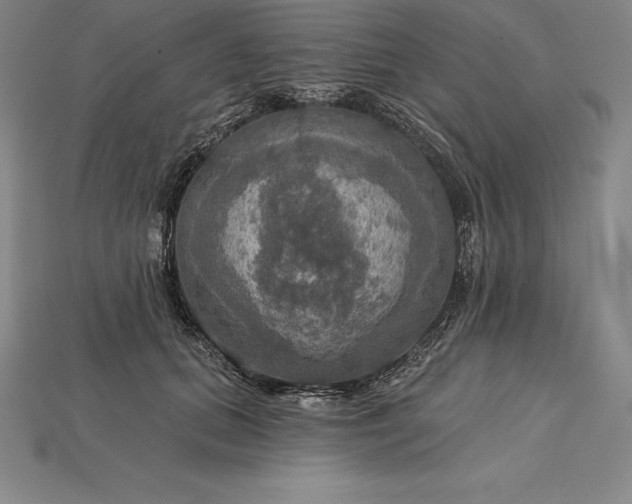 X0000115200655200911121843