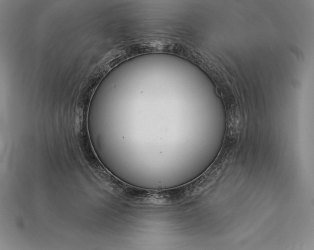 X0000115200656200911121843