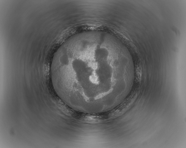 X0000115200657200911121843