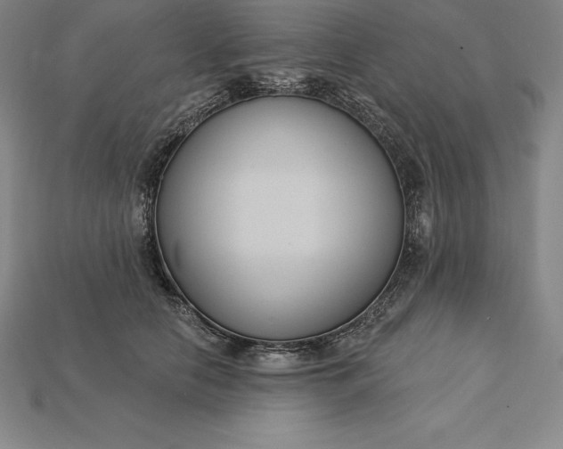 X0000115200658200911121843