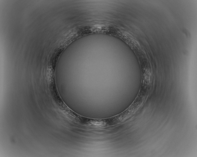 X0000115200659200911121843